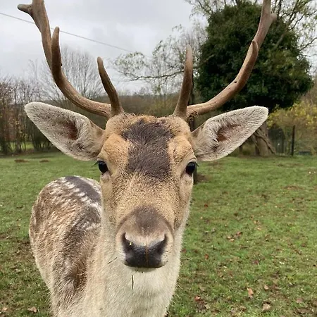 Tatil Evi La Belle Vue *